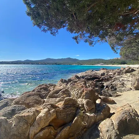 Int13 Via De Filippi Olbia