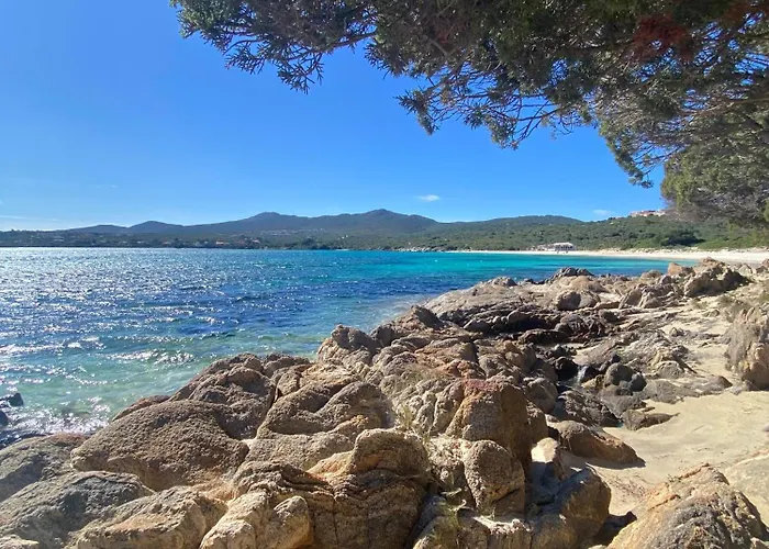 Int13 Via De Filippi Olbia